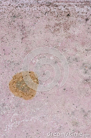 Detal of mold and moisture buildup on pink wall Stock Photo