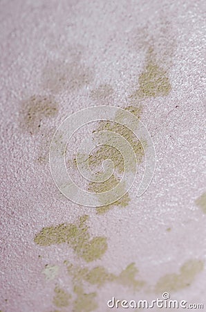 Detal of mold and moisture buildup on pink wall Stock Photo