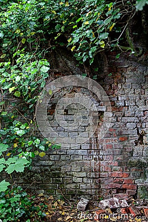 Deteriorated brick wall nature , Leuven, Belgium Stock Photo