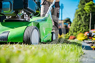 Dethatcher Work Lawn Care Stock Photo