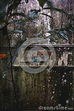 Detial of an old trailer abandoned in the middle of a jungle Editorial Stock Photo