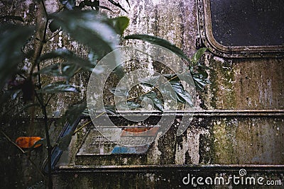 Detial of an old trailer abandoned in the middle of a jungle Editorial Stock Photo