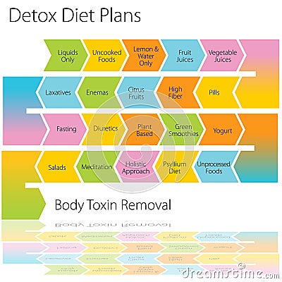 Detox Diet Plans Chart Vector Illustration