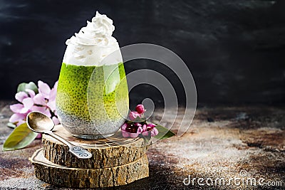 Detox ombre layered matcha green tea chia seed pudding. Vegan dessert with coconut milk. Healthy vegetarian breakfast Stock Photo