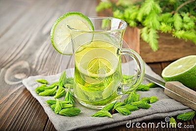 Detox water infused with sliced lime and spruce tips. Homemade refreshing lemonade or vitamin drink Stock Photo