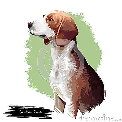 Deutsche Bracke, German Hound, German Bracke, Olper Bracke dog digital art illustration isolated on white background. Grmany Cartoon Illustration