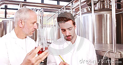 Deux hommes dans le laboratoire enduisent regarder le becher de la bière Deux hommes dans le laboratoire enduisent regarder le becher de la bière