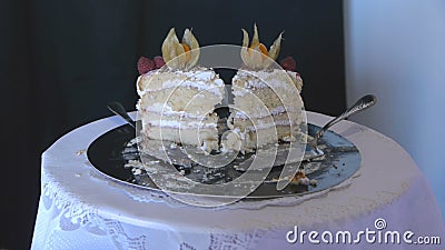 Deux morceaux de gâteau d'anniversaire sur un plateau argenté Célébration de l'anniversaire d'un enfant banque de vidéos Deux morceaux de gâteau d'anniversaire sur un plateau argenté Célébration de l'anniversaire d'un enfant banque de vidéos