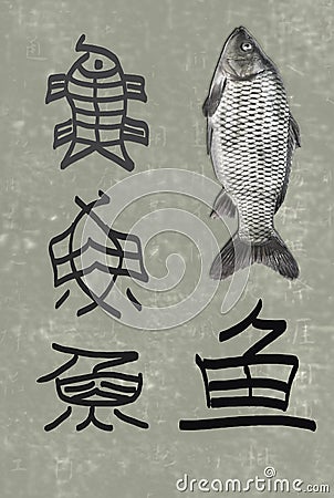 The development of Chinese character Fish Stock Photo