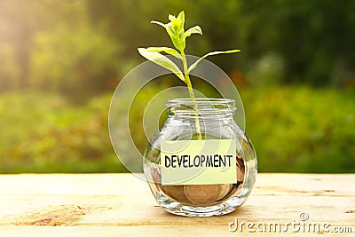 Development. Glass jar with coins, on a wooden table, on a natural background. High quality photo Stock Photo