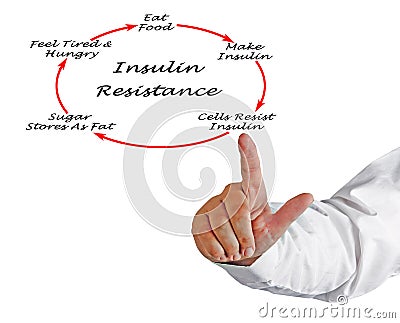 Development of Insulin Resistance Stock Photo