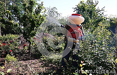 Device for spraying plants in the garden. Details and close-up Stock Photo