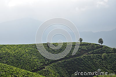 DEVIKULAM MUNNAR TRAVEL Stock Photo