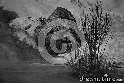 Devils Thumb In White Travertine Terraces At Mammoth Hot Springs Stock Photo