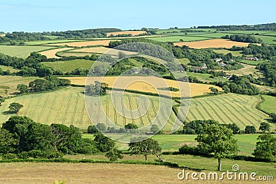 Devon Stock Photo