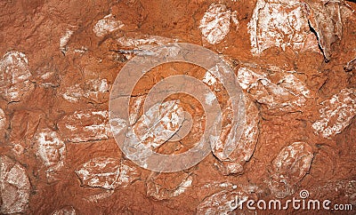 Devonian fish fossil Stock Photo