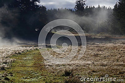 Dew covered fields and mist in the bright morning sun Stock Photo