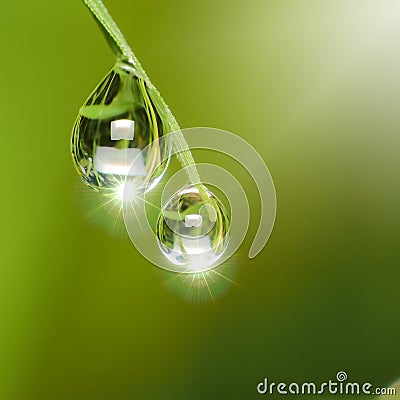 Dew drops with Light Fair Stock Photo