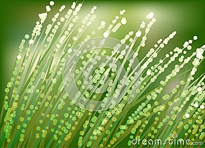 Dew on grass Vector Illustration