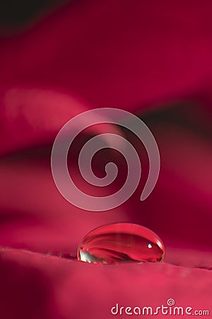 Dewdrop Stock Photo