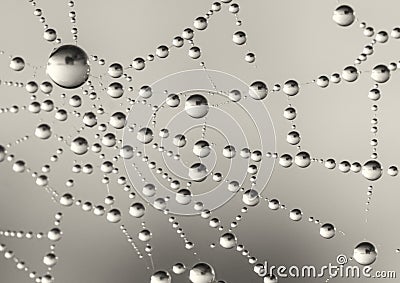 Dewy spiderweb with a circular pattern Stock Photo