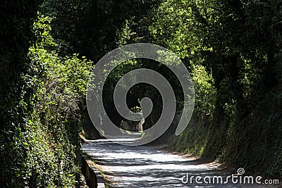 A mystical road Stock Photo