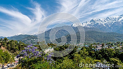 Dharamshala of Himachal Pradesh surrounded by cedar forests and Dhauladhar mountain range Stock Photo