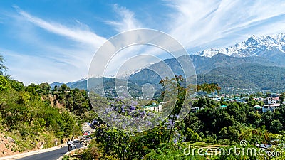 Dharamshala of Himachal Pradesh surrounded by cedar forests and Dhauladhar mountain range Stock Photo