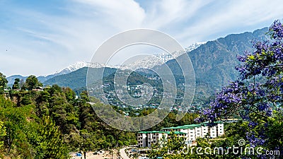 Dharamshala of Himachal Pradesh surrounded by cedar forests and Dhauladhar mountain range Stock Photo