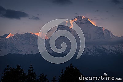 Dhaulagiri mountain peak in a morning sunrise at Poonhill, ABC, Stock Photo