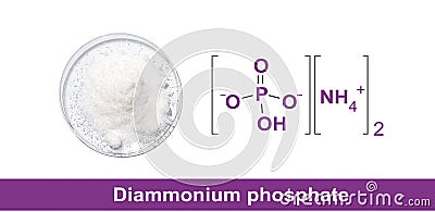 Di Ammonium Prosphate in chemical watch glass with molecular structure. Top View Stock Photo