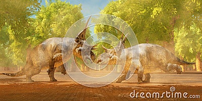 Diabloceratops Dinosaur Fight Stock Photo