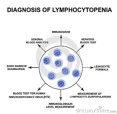 Diagnosis of lymphocytopenia. Decreased lymphocytes in the blood. Infographics. Vector illustration on isolated Vector Illustration