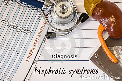 Diagnosis Nephrotic Syndrome photo. Figure of kidney lies next to incription of diagnosis Nephrotic Syndrome, ultrasound result, s Stock Photo