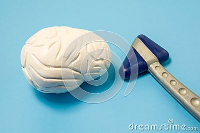 Diagnostic tool of neurologist - neurological rubber reflex hammer and model of human brain next to blue uniform background. Diagn Stock Photo
