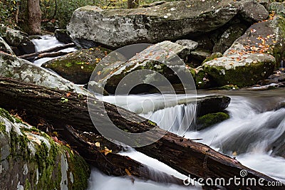 Diagonal deadfall tree log across a flowing creek in fall Stock Photo