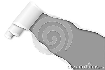 Diagonally snatched middle of white paper with torn edges, shadows, paper curl and gray background of resulting hole. Vector Vector Illustration