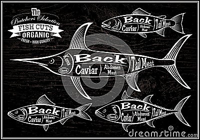 Diagram cut carcasses salmon, swordfish, herring, tuna Vector Illustration