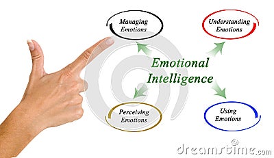 Diagram of emotional intelligence Stock Photo