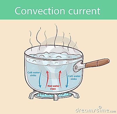 Diagram illustrating how heat is transferred in a boiling pot Vector Illustration