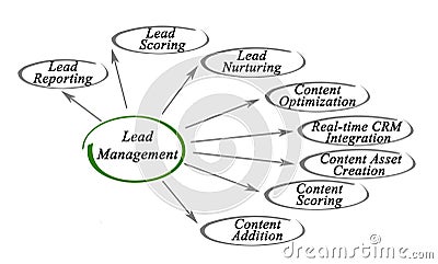 Diagram of Lead Management Stock Photo