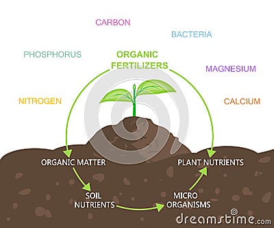 Diagram of Nutrients in Organic Fertilizers Vector Illustration