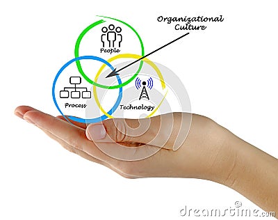 Diagram of Organizational Culture Stock Photo