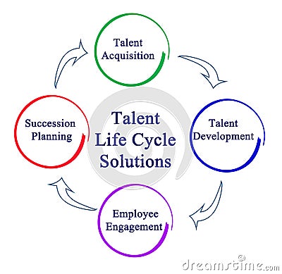 Talent Life Cycle Solutions Stock Photo