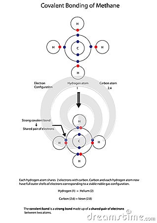 Diagram to illustrate covalent bonding in methane with a fully l Vector Illustration