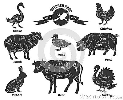 Diagrams for butcher shop Vector Illustration