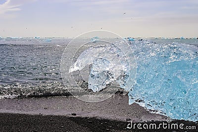 Diamond Beach in Iceland with blue icebergs melting on black sand and ice glistening with sunlight Stock Photo