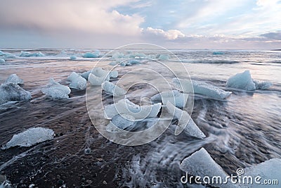 Diamond Beach in Iceland with blue icebergs melting on the black sand and ice glistening with sunrise sun light, tourist looking Stock Photo