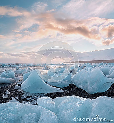 Diamond Beach in Iceland with blue icebergs melting on the black sand and ice glistening with sunrise sun light, tourist looking Stock Photo