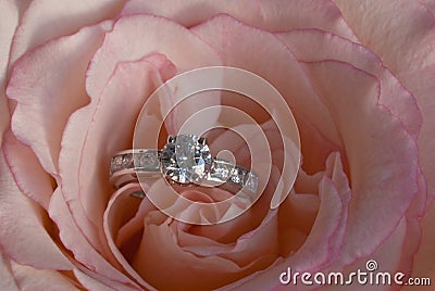 Diamond Engagement Ring In Unfolding Pink Rose Stock Photo